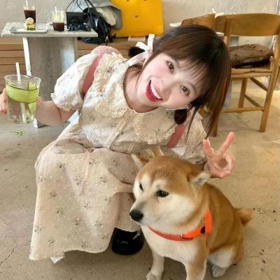 汪洋中的一条船